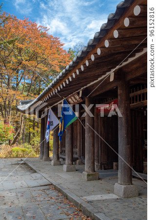 Beautiful Namiseom Nami Island on Han river in South Korea during Autumn season 96152816