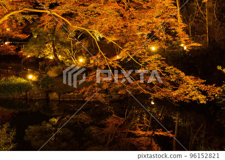 Autumn in Kyoto Okazaki, Konkai Komyoji Temple autumn leaves lit up, Shiun Garden 96152821