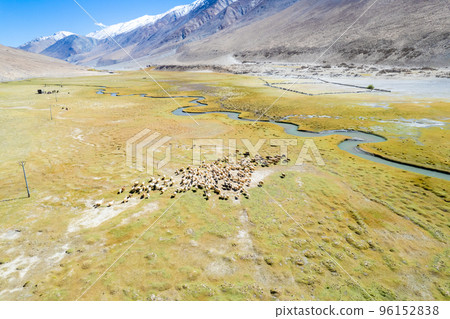 Landscape aerial view of herd of sheep and mountains with river and green valley in Himalayas with blue sky in Nubra valley, Jammu and Kashmir, India. 96152838