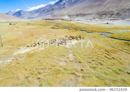 Landscape aerial view of herd of sheep and mountains with river and green valley in Himalayas with blue sky in Nubra valley, Jammu and Kashmir, India. 96152839