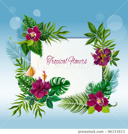 Tropical flowers and leaves frame Tropical flowers and leaves frame 96153813