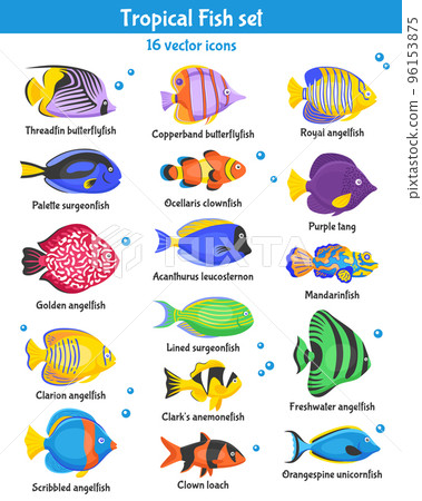 Tropical Fish Icons Set 96153875