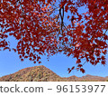 Bright red leaves 96153977