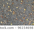 dead leaves ground background 96154698