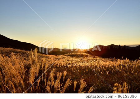 索尼高地,金色的蒲葦 索尼高地,金色的蒲葦 96155380