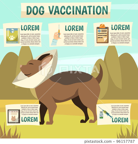 Dog Vaccination Orthogonal Background Poster 96157787