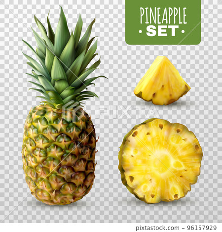 Realistic Pineapple Set 96157929