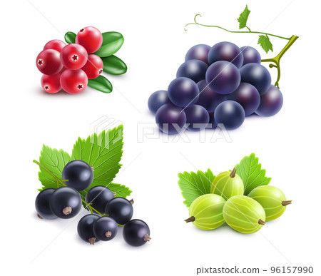 Realistic Berries Set Realistic Berries Set 96157990