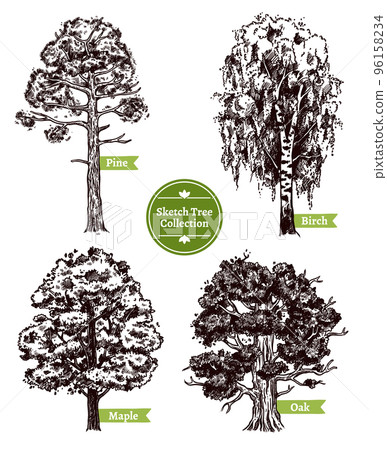 Sketch Tree Set 96158234