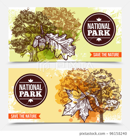 Sketch Tree Banners Sketch Tree Banners 96158240