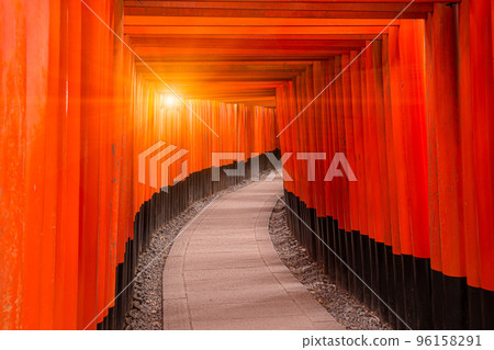 Red torii walk way at Fushimi inari taisha temple Kyoto most popular travel location in Kansai region Japan Red torii walk way at Fushimi inari taisha temple Kyoto most popular travel location in Kansai region Japan 96158291