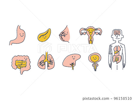 Friendly human healthy organ illustration Friendly human healthy organ illustration 96158510