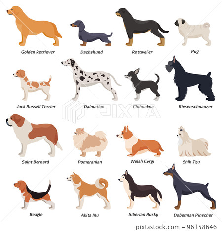 Profile Dogs Icon Set 96158646