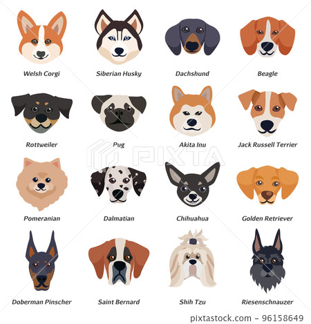 Purebred Dogs Faces Icon Set 96158649