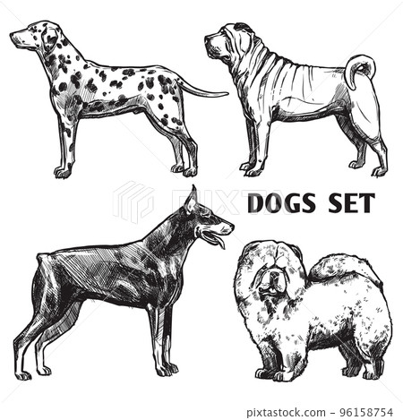Sketch Dogs Portrait Set Sketch Dogs Portrait Set 96158754