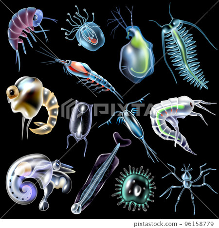 Plankton Set On Black Background Plankton Set On Black Background 96158779