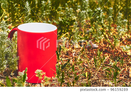 Red ceramic cup on green grass in the park Red ceramic cup on green grass in the park 96159289