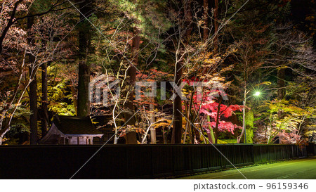 Beautiful autumn leaves Kakunodate samurai residence Kawarada family lit up at night 96159346
