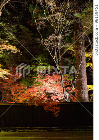 美麗的秋葉 角館武士住宅 小田野家在夜間點亮 96159451