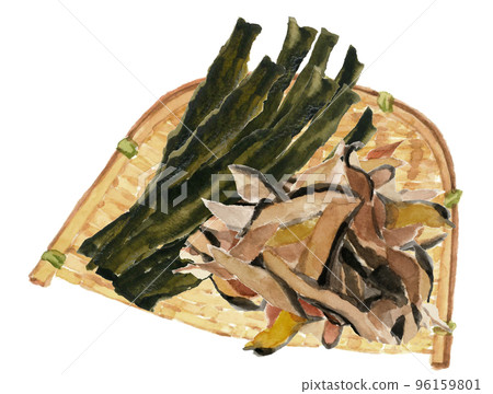 海帶和刨花在水彩白背繪製的濾鍋中的插圖 96159801