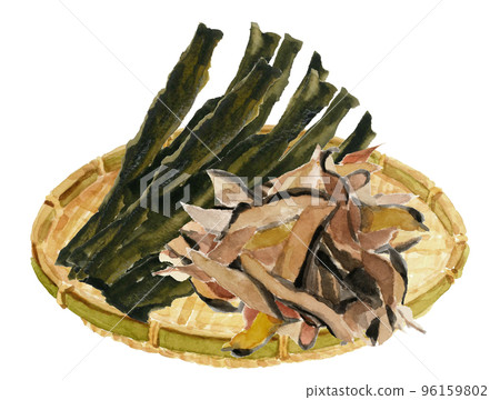 Illustration of kelp and shavings in a colander drawn by watercolor White back 96159802