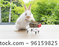 Adorable baby rabbit bunny pushing shopping basket cart with cookiecarrot standing over green nature 96159825