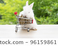 Adorable baby rabbit bunny pushing shopping basket cart with cookiecarrot standing over green nature 96159861