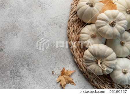 Thanksgiving or harvest flatlay with pumpkins on grey concrete background. 96160567