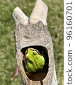 Frog bed 96160701