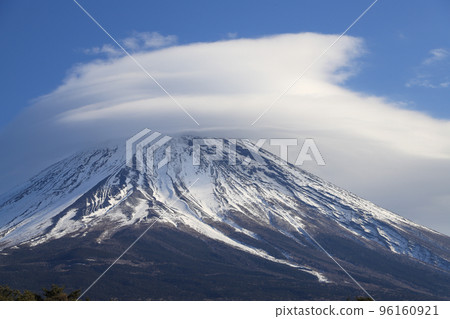 藤金富士山輝雲 96160921