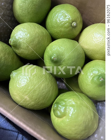 Setonai lemon Setonai lemon 96162075
