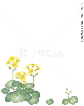 蜂斗菜,垂直的 蜂斗菜,垂直的 96163618