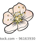 Pink apple blossom. Contour pattern 96163930