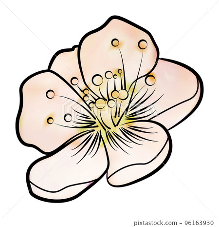 Pink apple blossom. Contour pattern 96163930
