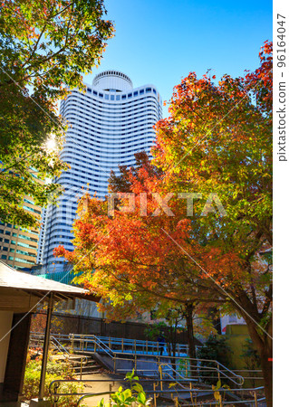 Autumn leaves at Shimizudani Park in Kioicho, Chiyoda Ward, Tokyo 96164047