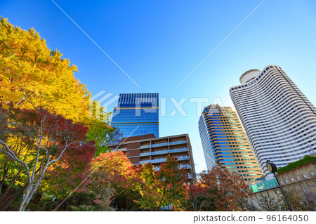 Autumn leaves at Shimizudani Park in Kioicho, Chiyoda Ward, Tokyo 96164050