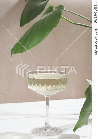 a glass of champagne on a table next to a large leaf plant, vertical. alcohol drinks for party, holiday celebration 96164084