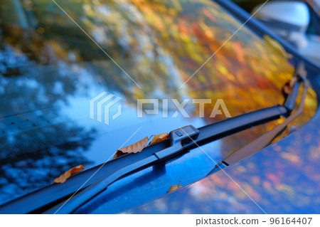 Dead leaves and autumn leaves that fell on the windshield wiper 96164407