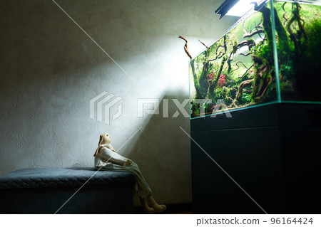 A toy rabbit sits on a pouf in a dark room and looks at the beautiful freshwater aquascape with live aquarium plants, Frodo stones, redmoor roots covered by java moss. A toy rabbit sits on a pouf in a dark room and looks at the beautiful freshwater aquascape with live aquarium plants, Frodo stones, redmoor roots covered by java moss. 96164424
