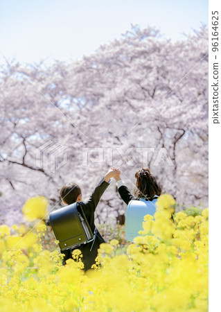 A back view of a first-year student carrying a school bag in a park where cherry blossoms and rape blossoms bloom 96164625