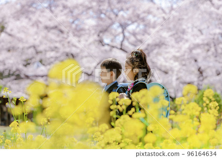 一個一年級學生背著書包在櫻花和油菜花盛開的公園裡 一個一年級學生背著書包在櫻花和油菜花盛開的公園裡 96164634