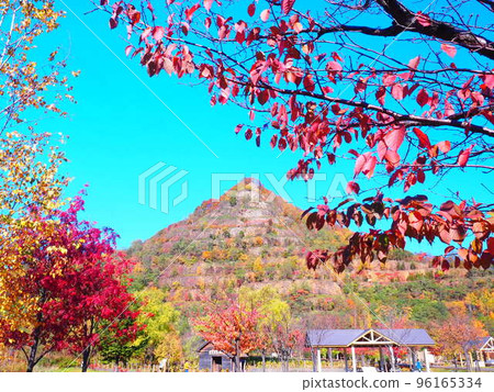 北海道風景御殿山公園在秋天 北海道風景御殿山公園在秋天 96165334
