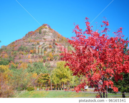 北海道風景御殿山公園在秋天 96165341