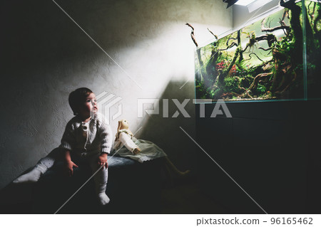 A small cute baby with toy rabbit sits on a pouf in a dark room and looks at the beautiful freshwater aquascape with live aquarium plants, Frodo stones, redmoor roots covered by java moss. A small cute baby with toy rabbit sits on a pouf in a dark room and looks at the beautiful freshwater aquascape with live aquarium plants, Frodo stones, redmoor roots covered by java moss. 96165462