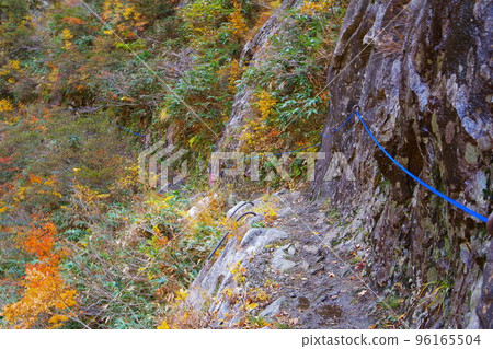 新潟縣南魚沼市浦牧溪谷的絕壁長廊和紅葉景觀 96165504