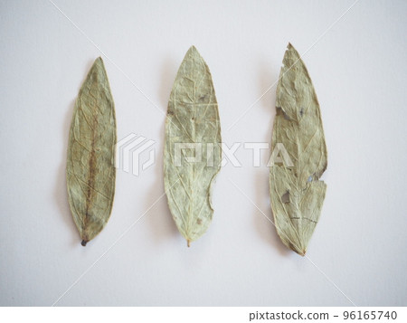 Crude drug senna Crude drug senna 96165740