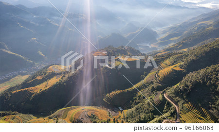 Rice fields on terraced prepare the harvest at Northwest Vietnam. Rice fields on terraced prepare the harvest at Northwest Vietnam. 96166063