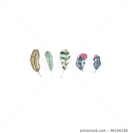 Hand drawn watercolor Easter colorful feathers set . Different color. It's perfect for greeting cards, wedding invitation, birthday and Easter, Spring cards. Watercolor botanical illustration Hand drawn watercolor Easter colorful feathers set . Different color. It's perfect for greeting cards, wedding invitation, birthday and Easter, Spring cards. Watercolor botanical illustration 96166180