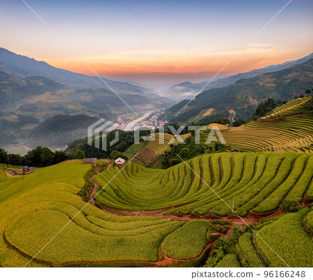Rice fields on terraced prepare the harvest at Northwest Vietnam. 96166248