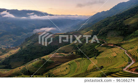 Rice fields on terraced prepare the harvest at Northwest Vietnam. 96166274